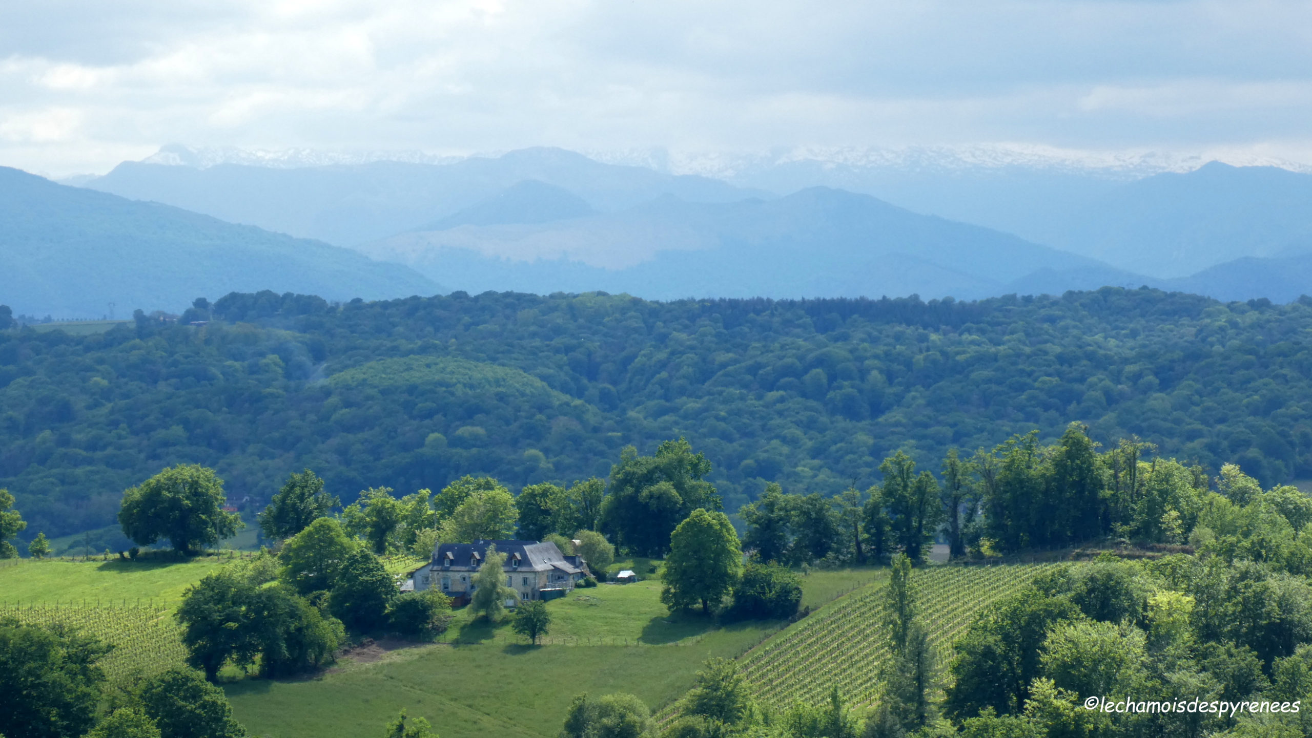 Coteaux de la Juscle depuis Laroin